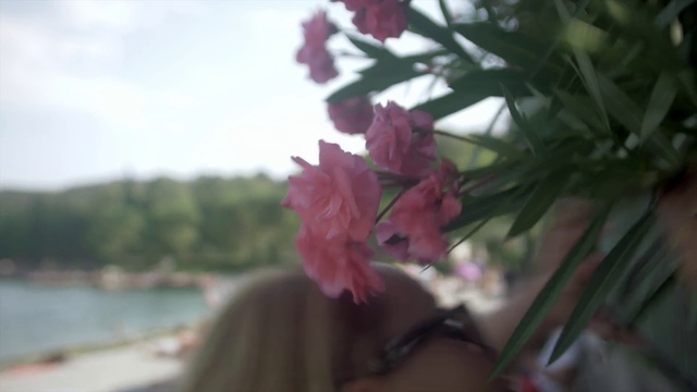 Video Reference: Flower, Pink, Nature, Petal, Plant, Spring, Botany, Flowering plant, Branch, Plant stem