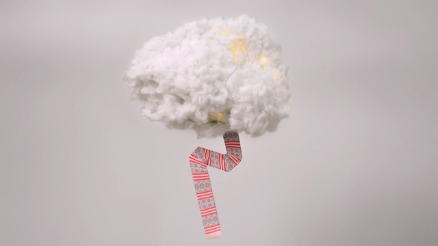 Video Reference: White, Cut flowers, Flower, Plant, Bouquet, Cloud, Paper, Person