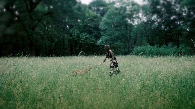 Video Reference: People in nature, Grass, Grassland, Nature, Meadow, Green, Vegetation, Natural environment, Field, Prairie