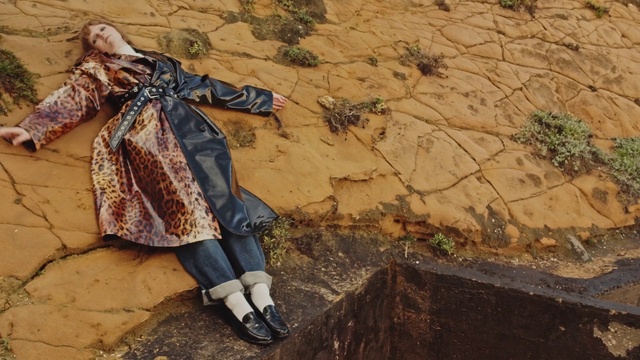 Video Reference: Landscape, Art