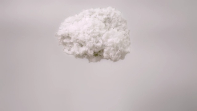 Video Reference: cotton, white, cg