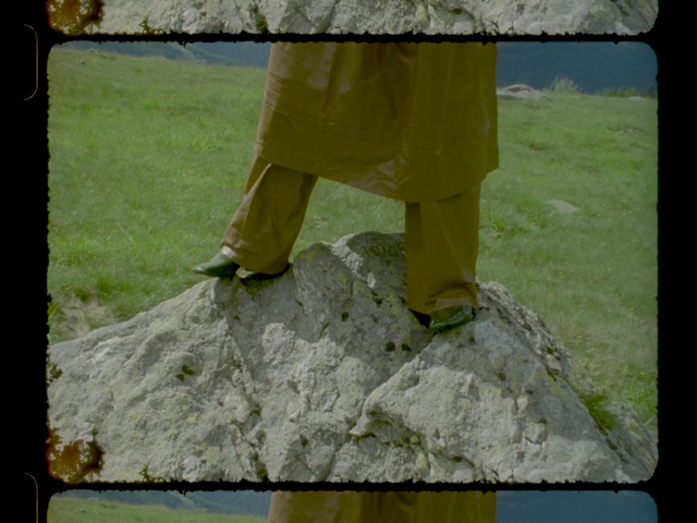 Video Reference: Grass, Yellow, Tree, Soil, Adaptation, Rock, Lawn, Sculpture, Art