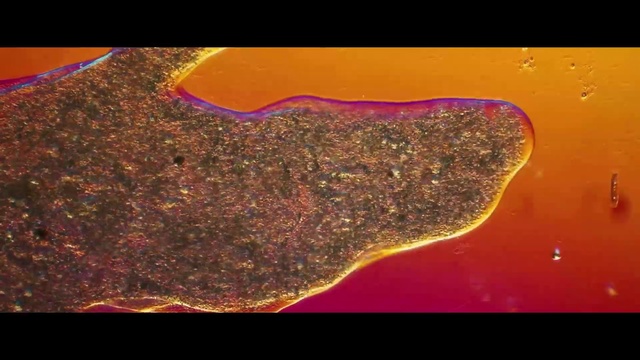 Video Reference: Organism, Orange, Water, Geology, Rock, Flatworm, Geological phenomenon, Macro photography, Magenta, Space