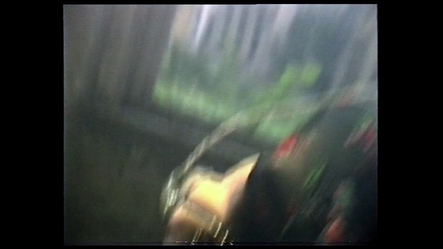 Video Reference: Nature, Green, Light, Sunlight, Snapshot, Darkness, Sky, Atmosphere, Organism, Photography