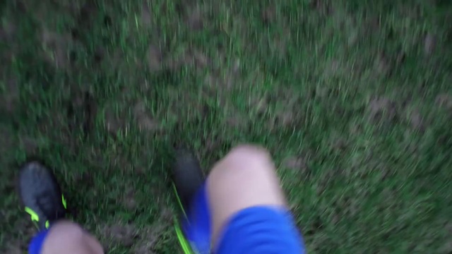 Video Reference: Green, Grass, Leaf, Lawn, Leg, Finger, Grass, Hand, Meadow, Human leg