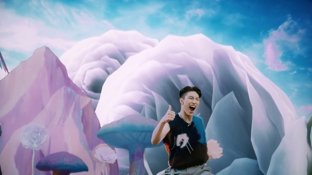 Video Reference: Photograph, Sky, Cloud, Illustration, Fun, Photography, Happy, World, Petal, Plant