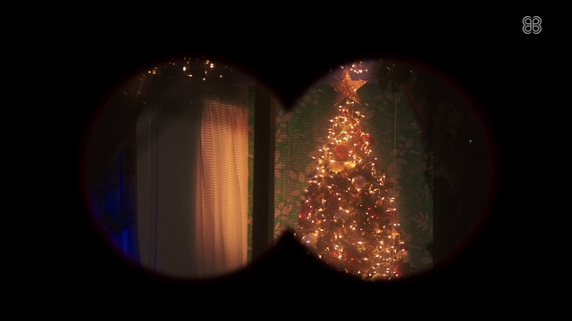 Video Reference: Light, Darkness, Lighting, Christmas lights, Sky, Christmas, Tree, Christmas ornament, Night, Midnight