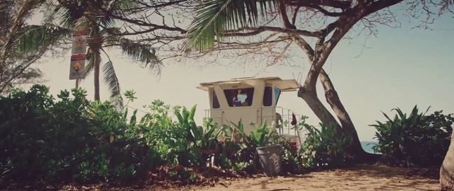 Video Reference: Property, House, Home, Tree, Real estate, Building, Cottage, Landscape, Rural area, Adaptation