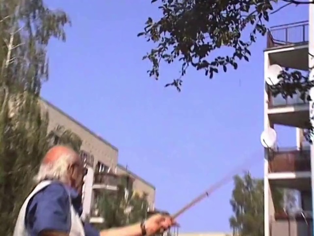 Video Reference: Tree, Woody plant, Community, Branch, Fun, Plant, Leaf, Architecture, Real estate, House