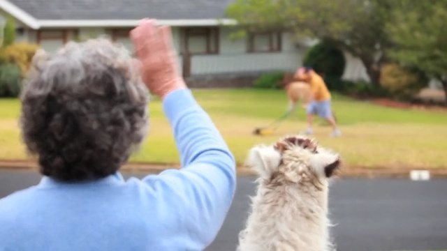 Video Reference: mammal, vertebrate, play, dog breed, dog breed group, fun, child, dog walking, lawn