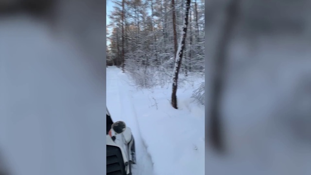 Video Reference: Snow, Winter, Freezing, Tree, Ice, Geological phenomenon, Branch, Frost, Blizzard, Winter storm