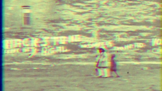 Video Reference: green, yellow, sky, light, atmosphere, sunlight, morning, tree, water, evening