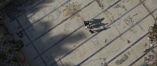 Video Reference: sky, wall, tree, wood