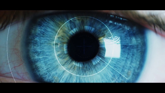 Video Reference: Iris, Eye, Close-up, Organ, Eyelash, Photography, Ophthalmology