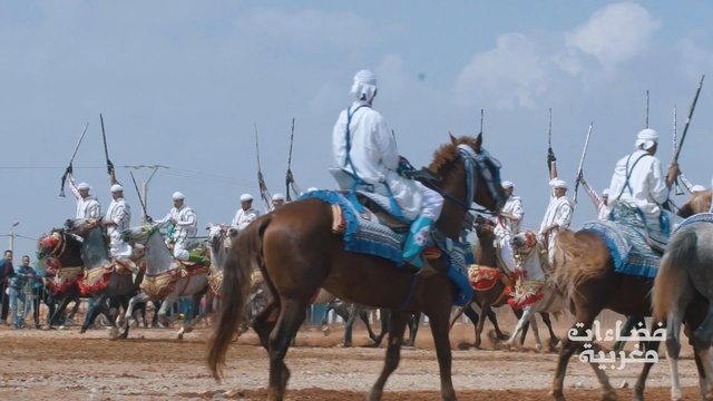 Video Reference: camel, pack animal, camel like mammal, horse like mammal, stallion, horse, sand, traditional sport, landscape, competition event