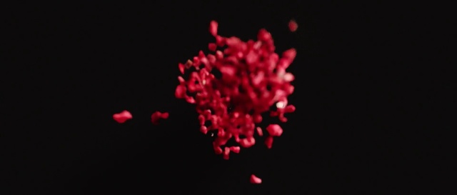 Video Reference: Red, Pink, Magenta, Macro photography, Light, Petal, Heart, Organism, Close-up, Valentines day