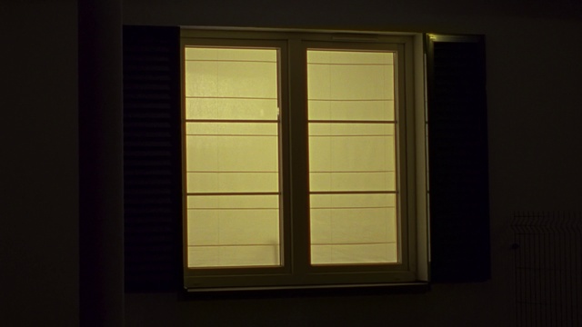 Video Reference: Window, Door, Daylighting, Wood, Window covering, Room, Architecture, Tints and shades, Hardwood, Interior design