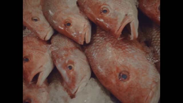 Video Reference: Fish, Fish products, Red snapper, Fish, Red seabream, Tilapia, Snapper, Seafood, Organism, Food