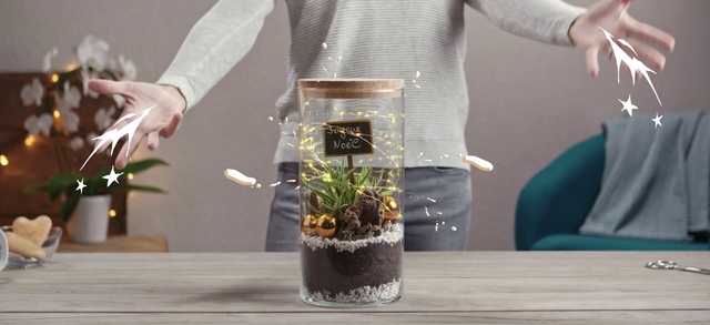 Video Reference: Flowerpot, Houseplant, Plant, Flower, Grass, Room, Tree, Soil