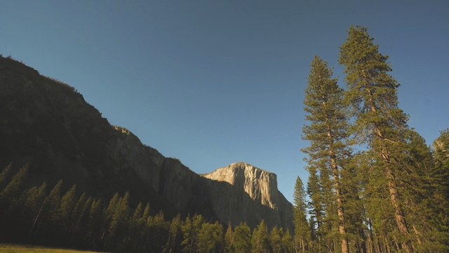 Video Reference: Larix lyalliiSubalpine Larch, Tree, Mountainous landforms, Mountain, Nature, Sky, Wilderness, Natural environment, Woody plant, Mountain range