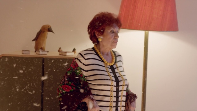 Video Reference: Room, Fawn, Art