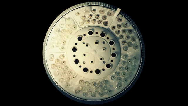 Video Reference: organism, circle, font, wheel, sphere