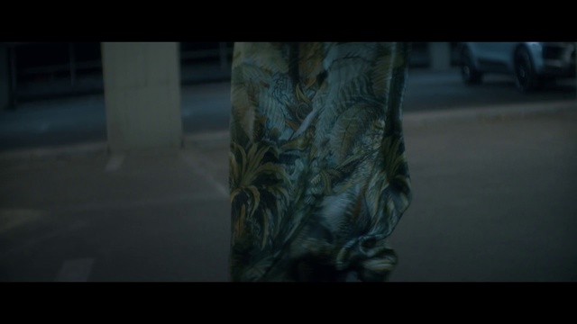 Video Reference: Black, Darkness, Tree, Water, Art, Atmosphere, Organism, Photography, Screenshot, Plant