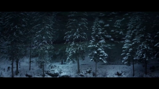 Video Reference: Black, Snow, Nature, Darkness, Winter, Tree, Natural environment, Green, Forest, Atmosphere