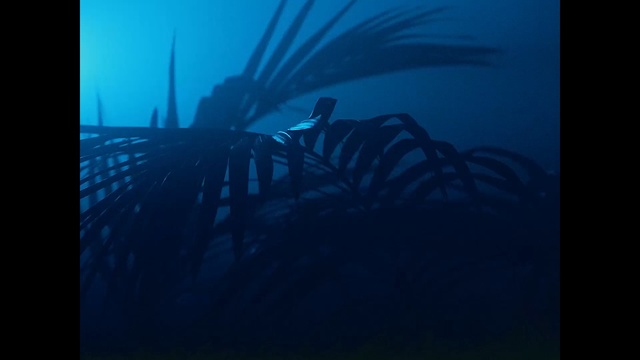 Video Reference: divemaster, underwater, marine biology, underwater diving, scuba diving, darkness, atmosphere, organism, aquanaut, screenshot