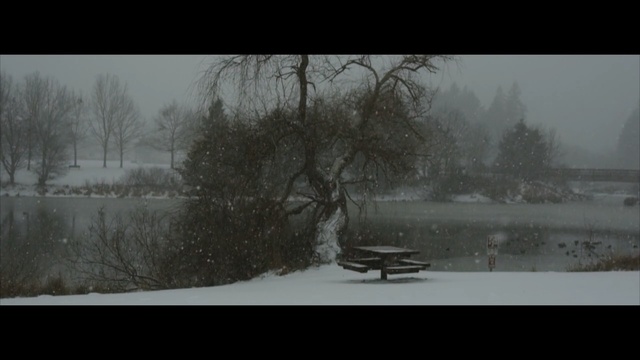 Video Reference: snow, winter, nature, freezing, water, atmosphere, tree, fog, black and white, frost
