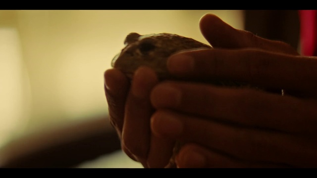 Video Reference: Hand, Skin, Finger, Close-up, Human, Photography, Gesture, Nail, Thumb, Foot