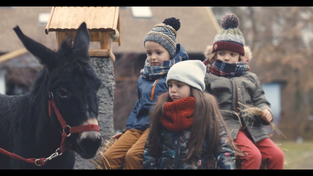 Video Reference: Child, Horse, Pack animal, Person