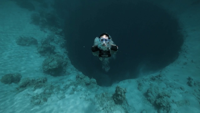 Video Reference: underwater diving, underwater, divemaster, water, freediving, scuba diving, sea, marine biology, aquanaut, organism, Person