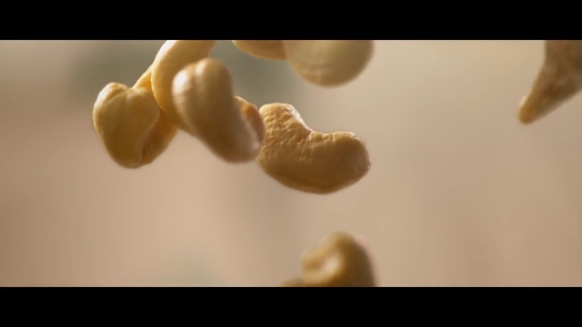 Video Reference: Organism, Close-up, Macro photography, Tooth