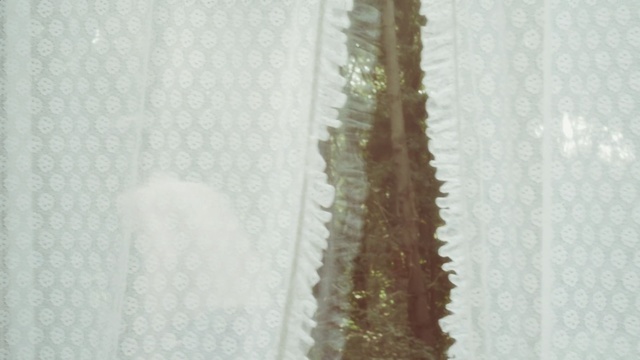 Video Reference: textile, curtain, interior design, lace