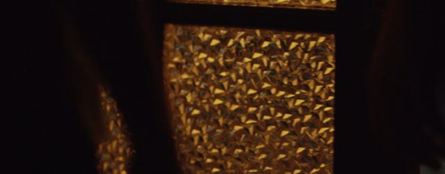 Video Reference: Brown, Pattern, Design, Bee, Beehive, Metal, Sitting, Man, Table, Black, Standing, White, Food, Large, Shirt, Woman, Holding, Cake, Red, Cat, Plate, Room, Bed, Laying, Seed