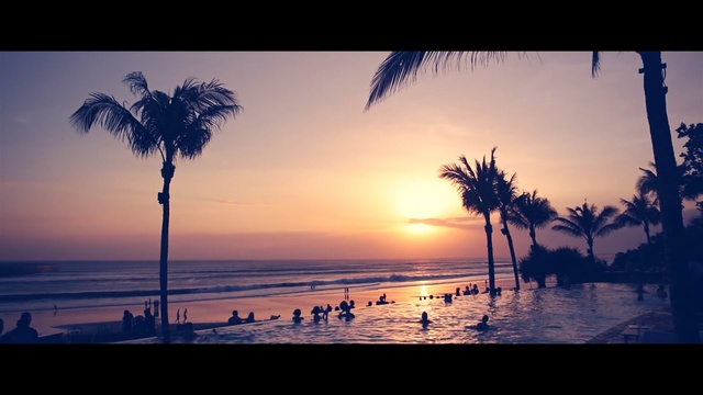 Video Reference: Sky, Tree, Sunset, Cloud, Palm tree, Horizon, Beach, Ocean, Morning, Evening, Person