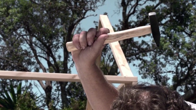 Video Reference: tree, outdoor structure