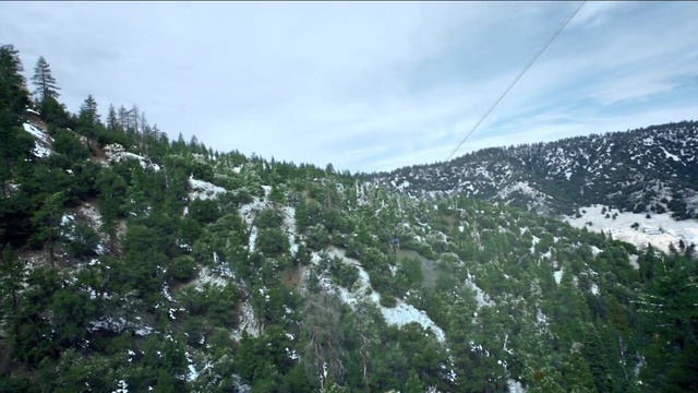 Video Reference: ecosystem, vegetation, tree, mountainous landforms, wilderness, mountain, nature reserve, hill station, sky, winter