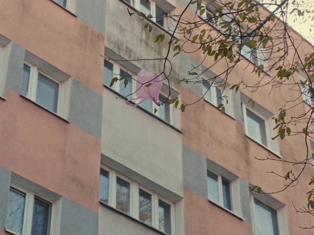 Video Reference: Architecture, Property, Building, Facade, Daytime, Neighbourhood, Apartment, Balcony, Window, Real estate