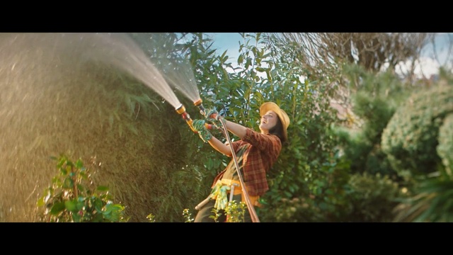 Video Reference: Organism, Tree, Jungle, Sunlight, Wildlife, Plant, Photography, Branch, Screenshot, Forest