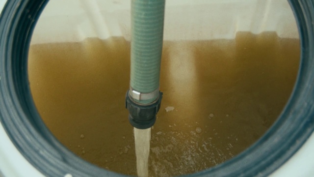 Video Reference: Food, Cuisine, Dairy