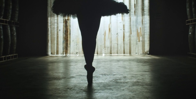 Video Reference: Black, Ballet dancer, Water, Light, Leg, Footwear, Human leg, Standing, Shoe, Ballet