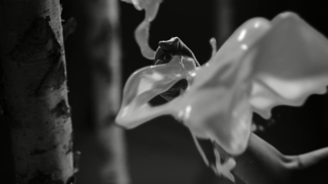 Video Reference: black and white, black, monochrome photography, photography, monochrome, still life photography, close up, darkness, hand, flower