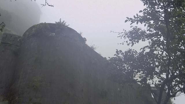 Video Reference: Atmospheric phenomenon, Sky, Mist, Fog, Haze, Tree, Drizzle, Hill station, Mountain, Cloud