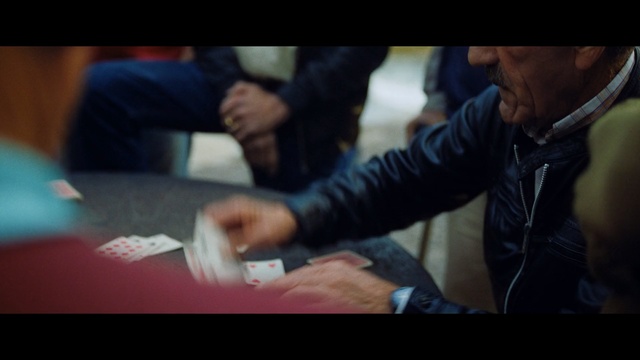 Video Reference: Snapshot, Fun, Arm, Hand, Games, Photography, Finger, Recreation, Sitting, Person, Indoor, Man, Television, Holding, Video, Using, Remote, Screen, Playing, Room, Red, Game, Wearing, Woman, Table, Computer, White, Young, Living, People, Mirror, Player, Cat, Blurry, Standing, Wii, Blue, Clothing, Screenshot, Text