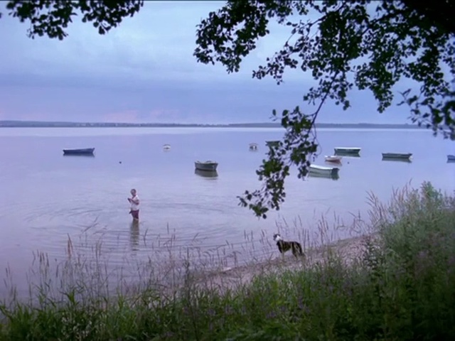 Video Reference: Body of water, Water, Nature, Natural landscape, Bank, Natural environment, Lake, Water resources, Tree, Nature reserve
