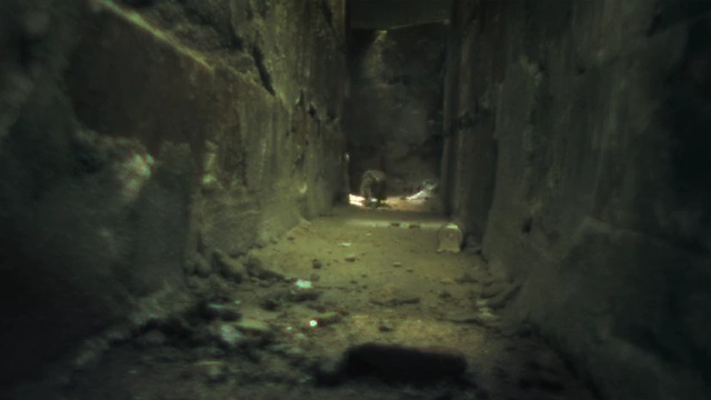 Video Reference: cave, caving, darkness, formation, tunnel