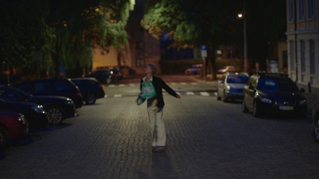 Video Reference: Night, Lane, Mode of transport, Pedestrian, Road, Street, Snapshot, Lighting, Car, Asphalt