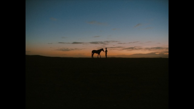 Video Reference: Sky, Wildlife, Horizon, Natural environment, Dusk, Ecoregion, Sunset, Evening, Grassland, Silhouette